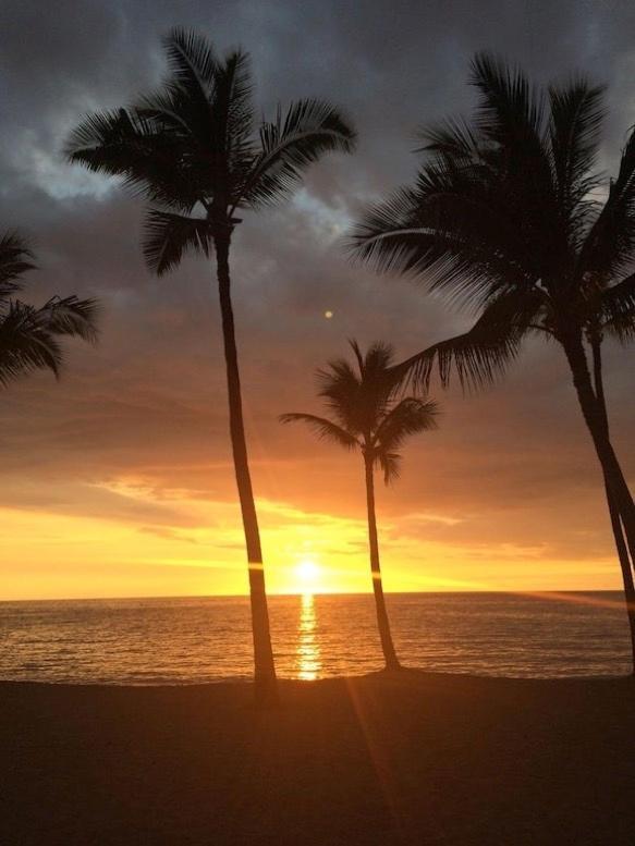 Newly Renovated Condo With Sup Paddle Boards And Golf Clubs Included Kailua-Kona Exteriér fotografie