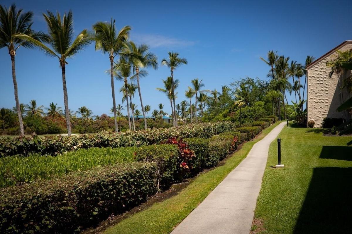 Newly Renovated Condo With Sup Paddle Boards And Golf Clubs Included Kailua-Kona Exteriér fotografie
