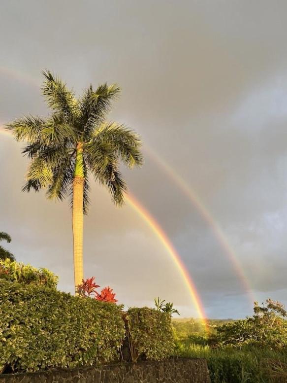 Newly Renovated Condo With Sup Paddle Boards And Golf Clubs Included Kailua-Kona Exteriér fotografie